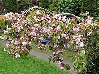 IMG 4276