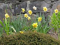 IMG 4277