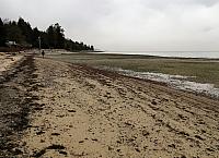 IMG 7097