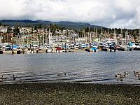 IMG 7121