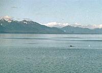 IMG010a