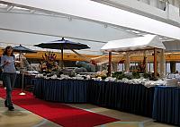 Ketchikan-to-Victoria