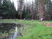 IMG 1280 copy