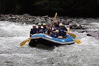 IMG 7424